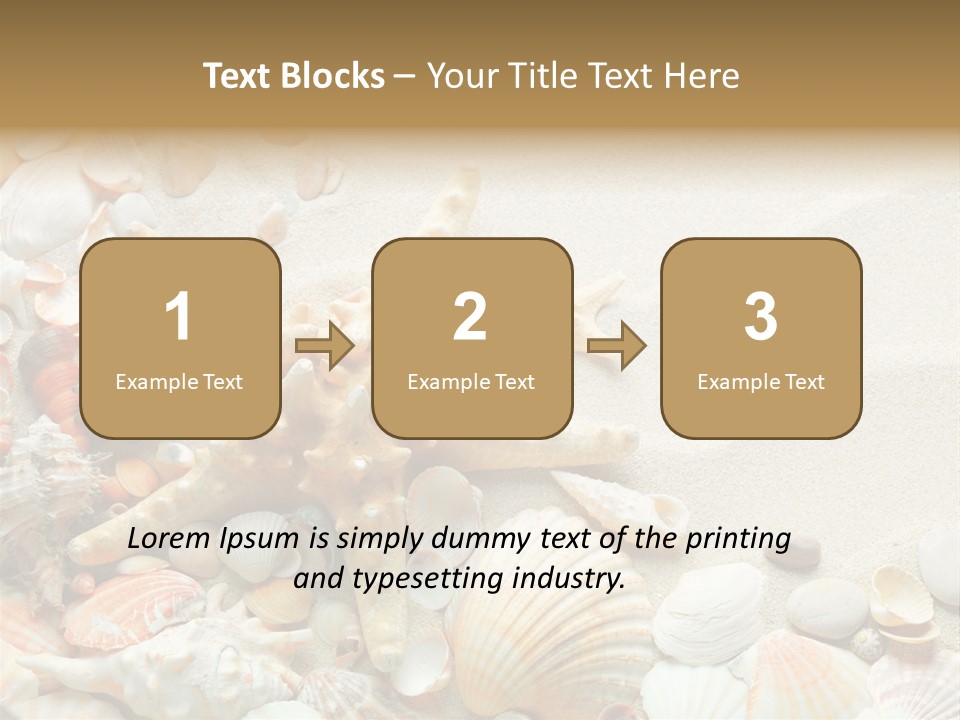 Starfish Border Summer PowerPoint Template