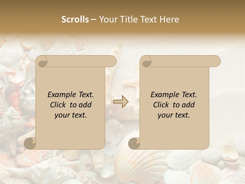 Starfish Border Summer PowerPoint Template