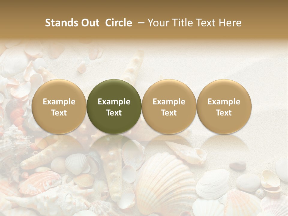 Starfish Border Summer PowerPoint Template