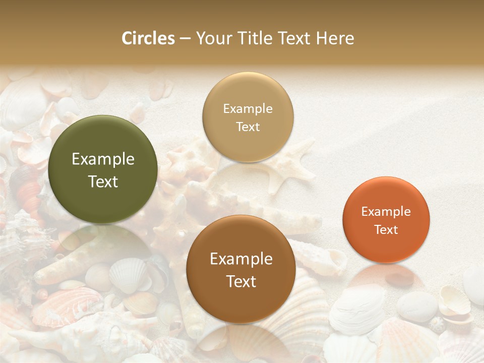 Starfish Border Summer PowerPoint Template