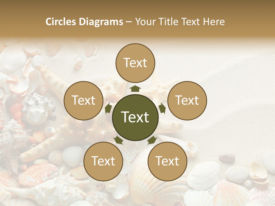 Starfish Border Summer PowerPoint Template