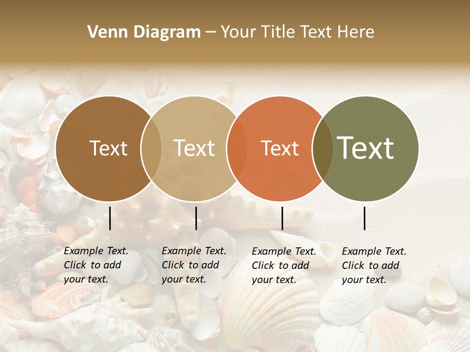 Starfish Border Summer PowerPoint Template