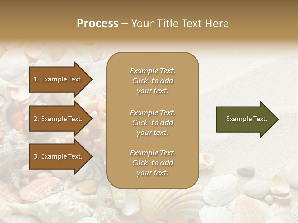 Starfish Border Summer PowerPoint Template