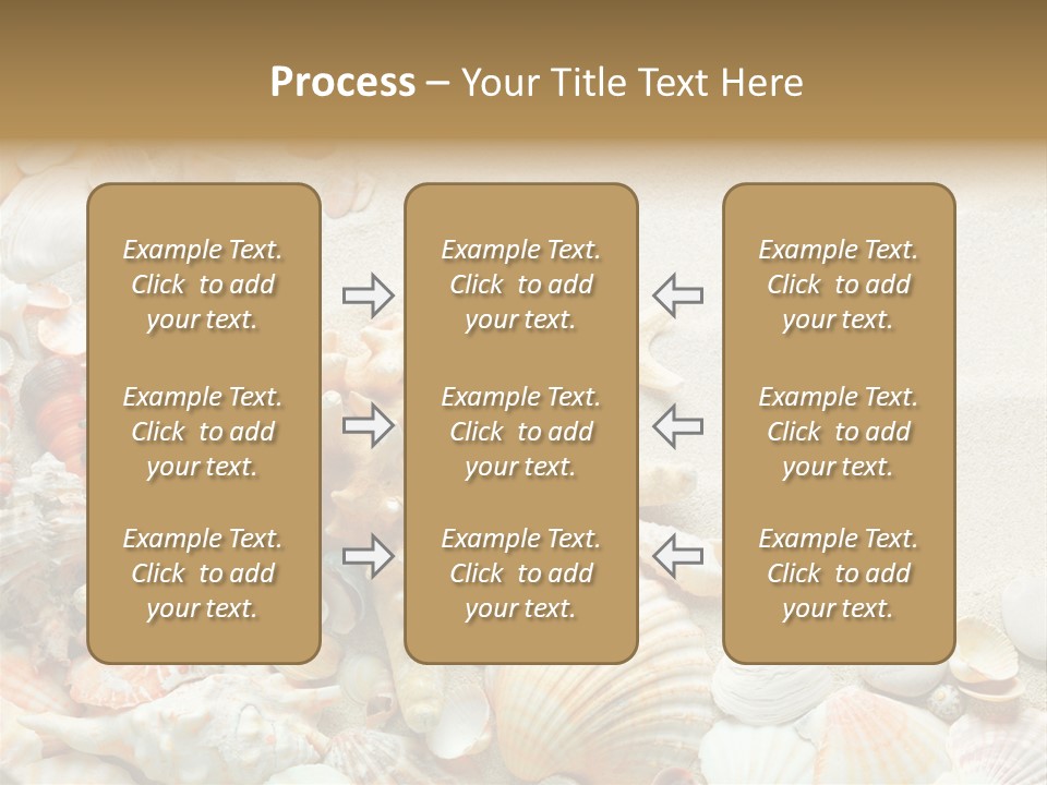 Starfish Border Summer PowerPoint Template