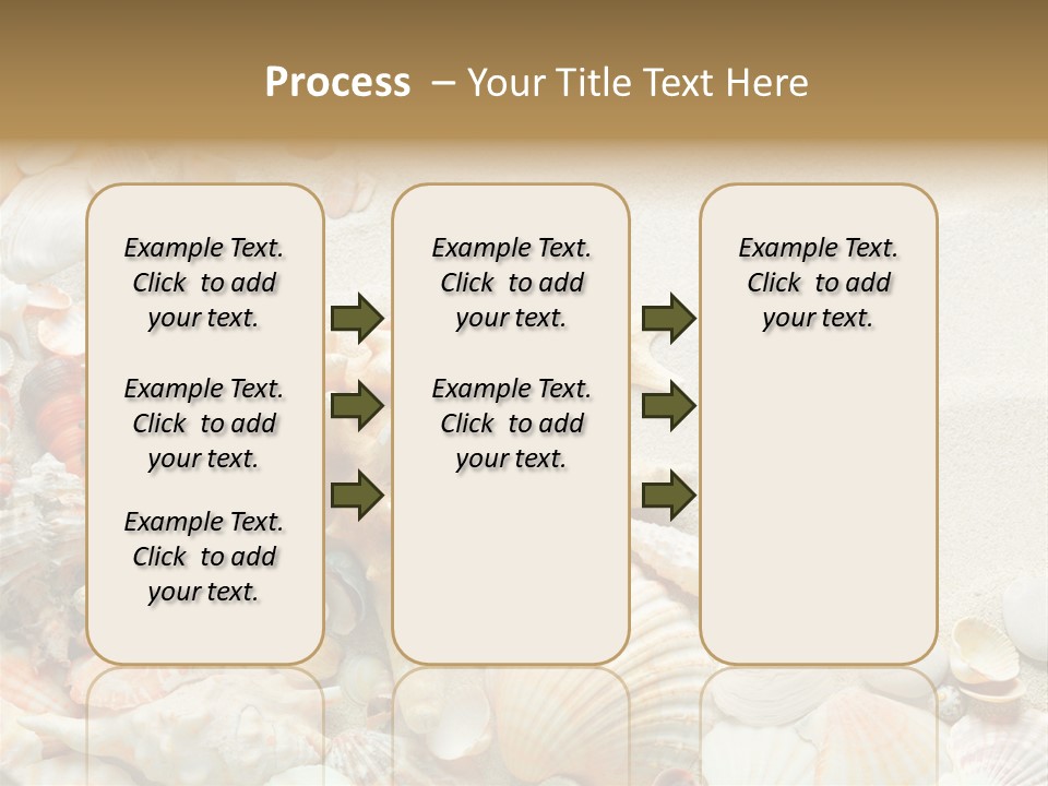 Starfish Border Summer PowerPoint Template