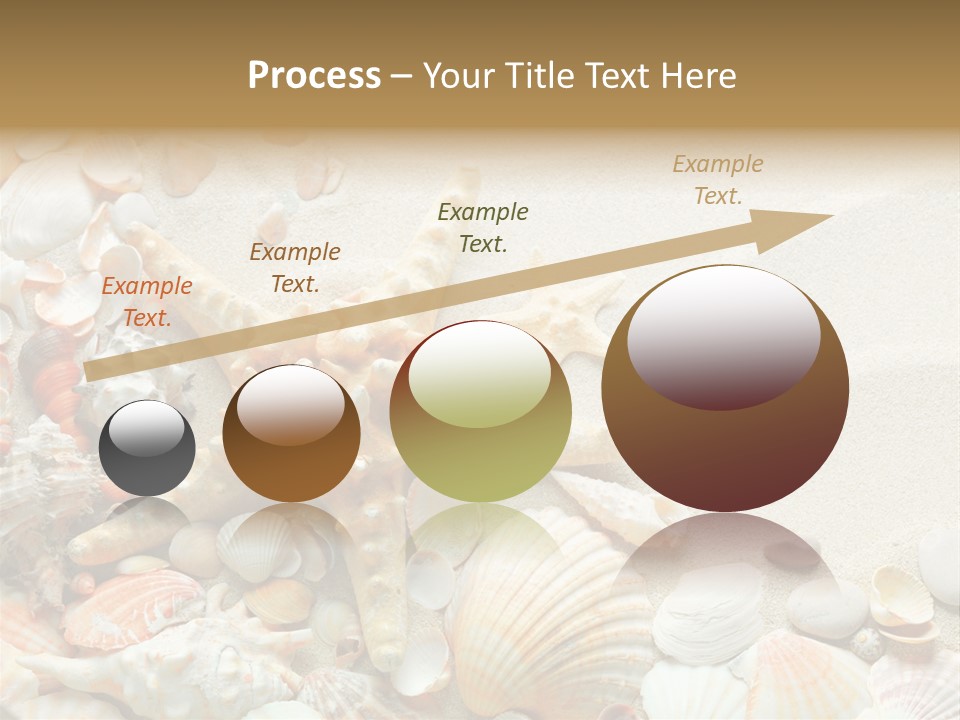 Starfish Border Summer PowerPoint Template