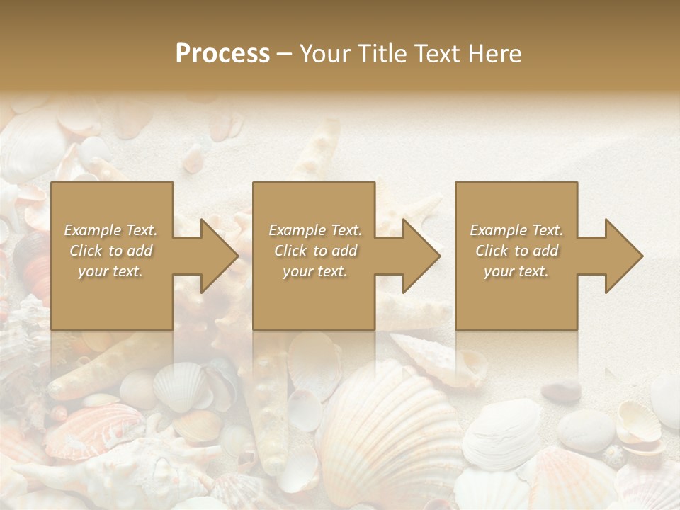 Starfish Border Summer PowerPoint Template