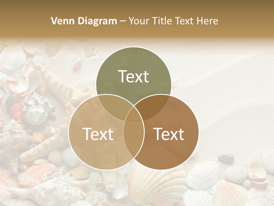 Starfish Border Summer PowerPoint Template