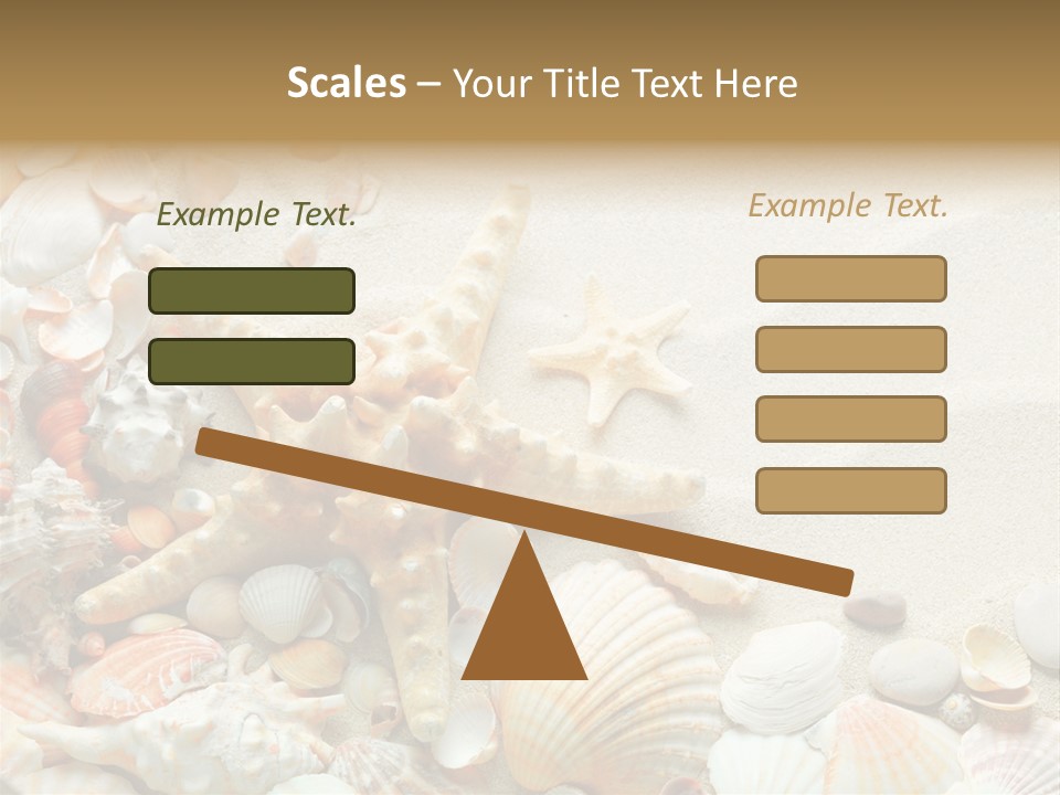 Starfish Border Summer PowerPoint Template