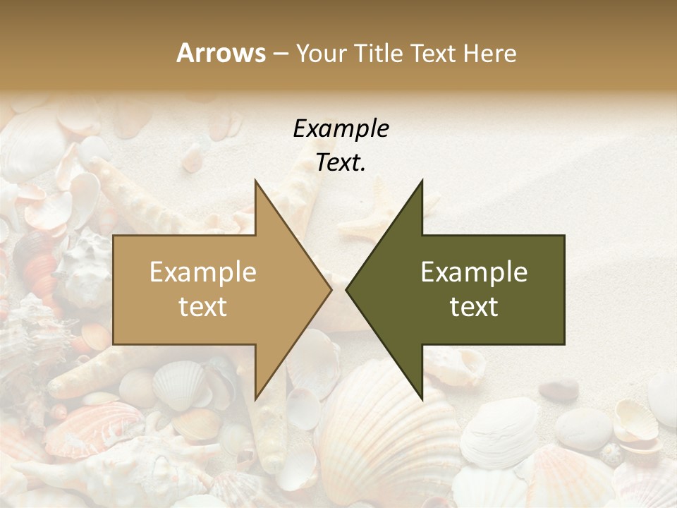 Starfish Border Summer PowerPoint Template