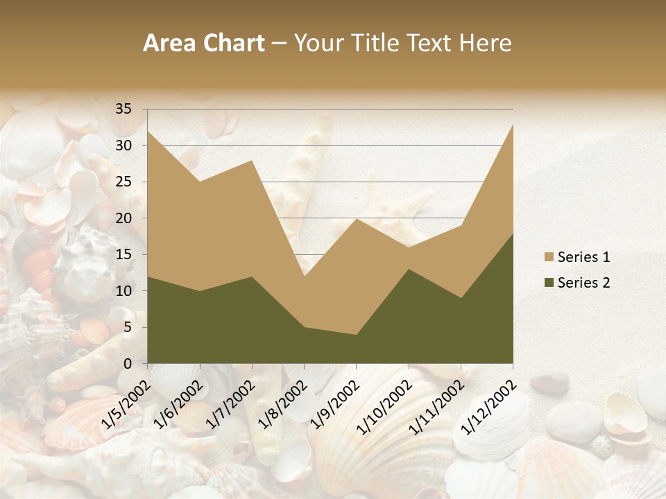 Starfish Border Summer PowerPoint Template