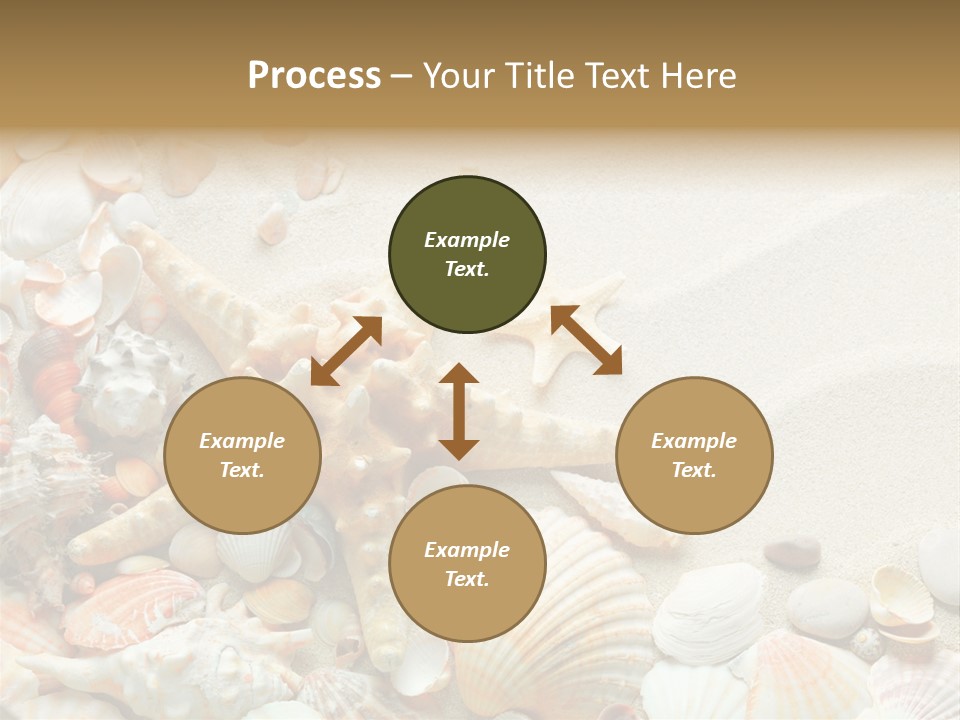 Starfish Border Summer PowerPoint Template