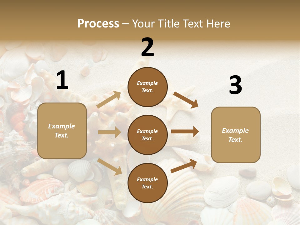 Starfish Border Summer PowerPoint Template