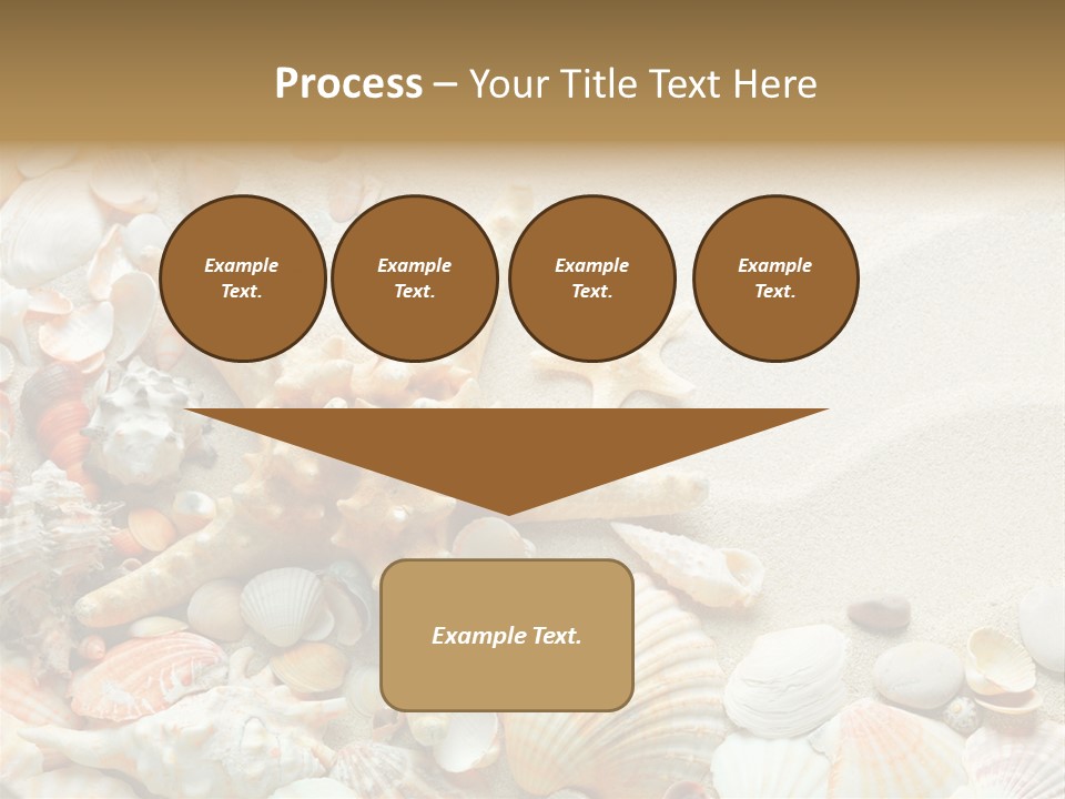 Starfish Border Summer PowerPoint Template