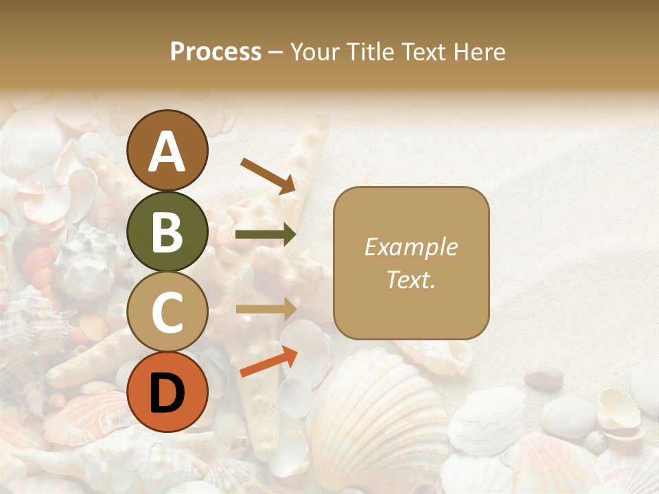 Starfish Border Summer PowerPoint Template