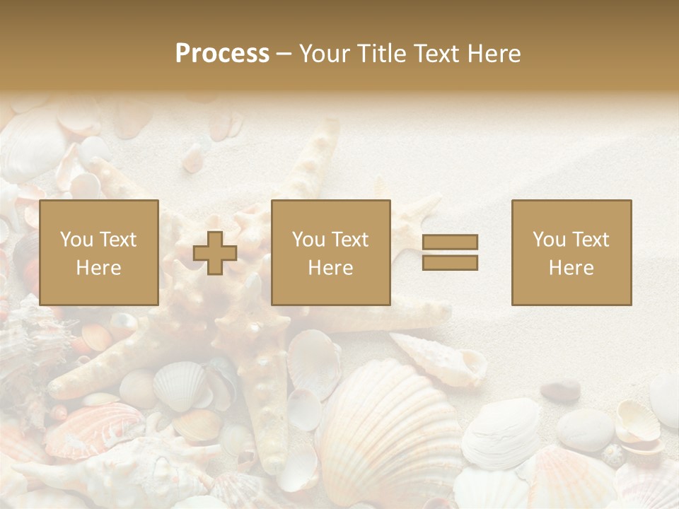 Starfish Border Summer PowerPoint Template