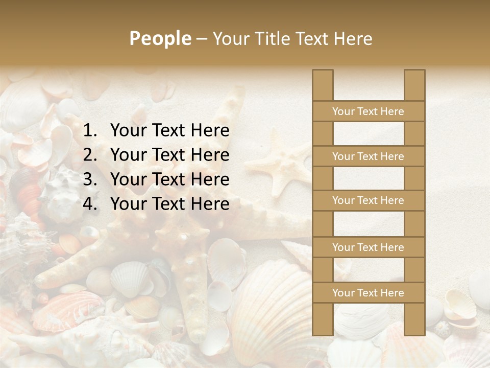 Starfish Border Summer PowerPoint Template