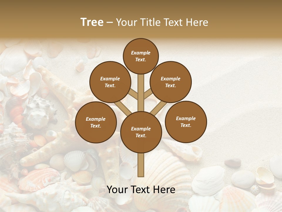 Starfish Border Summer PowerPoint Template