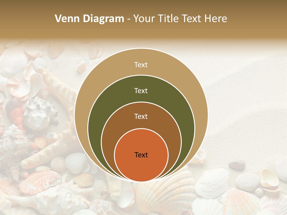 Starfish Border Summer PowerPoint Template