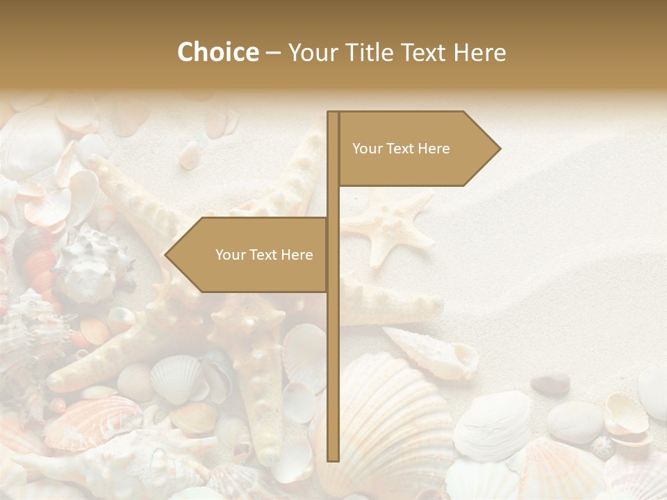 Starfish Border Summer PowerPoint Template