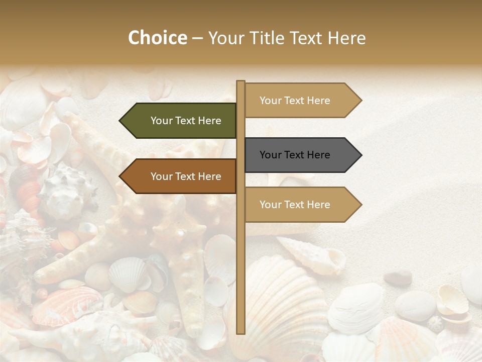 Starfish Border Summer PowerPoint Template