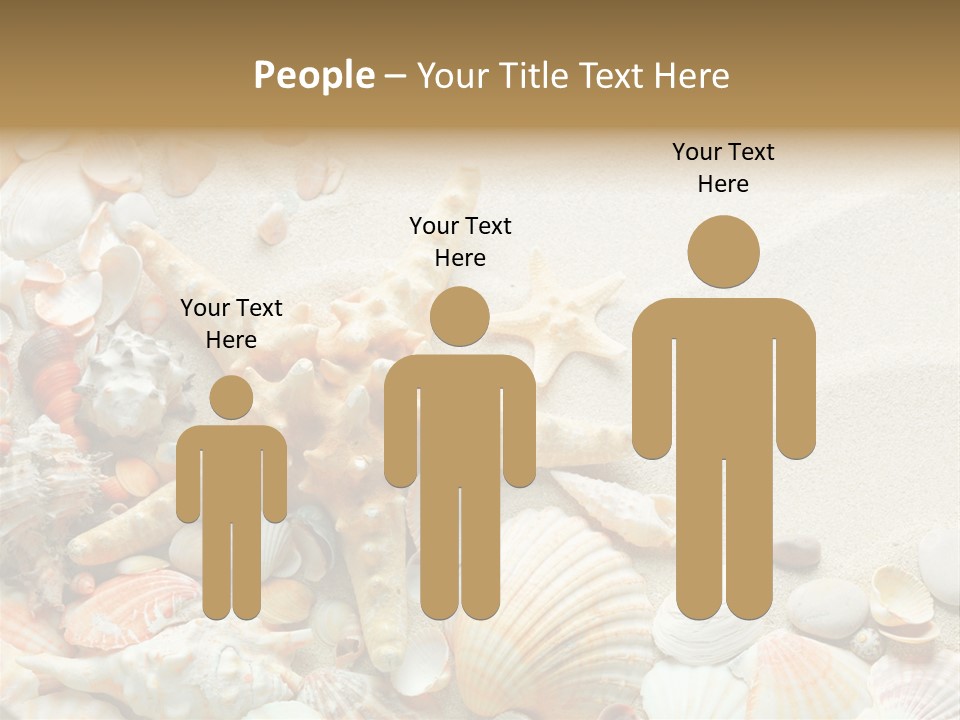 Starfish Border Summer PowerPoint Template