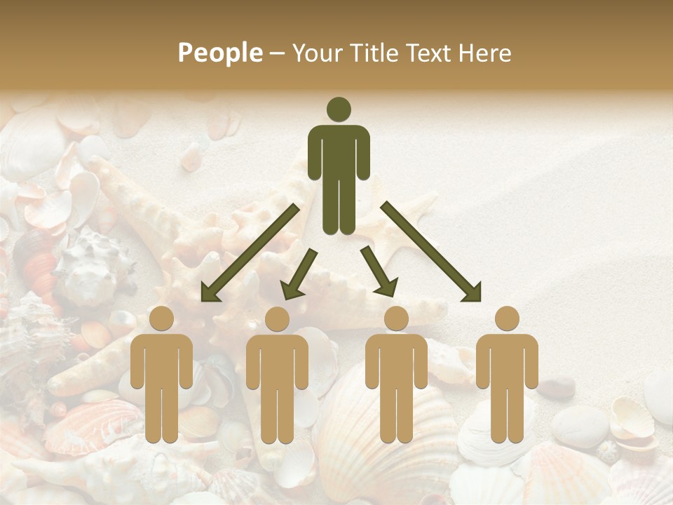 Starfish Border Summer PowerPoint Template