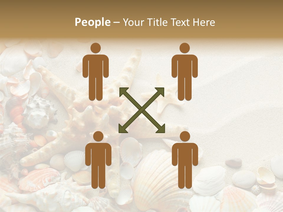 Starfish Border Summer PowerPoint Template