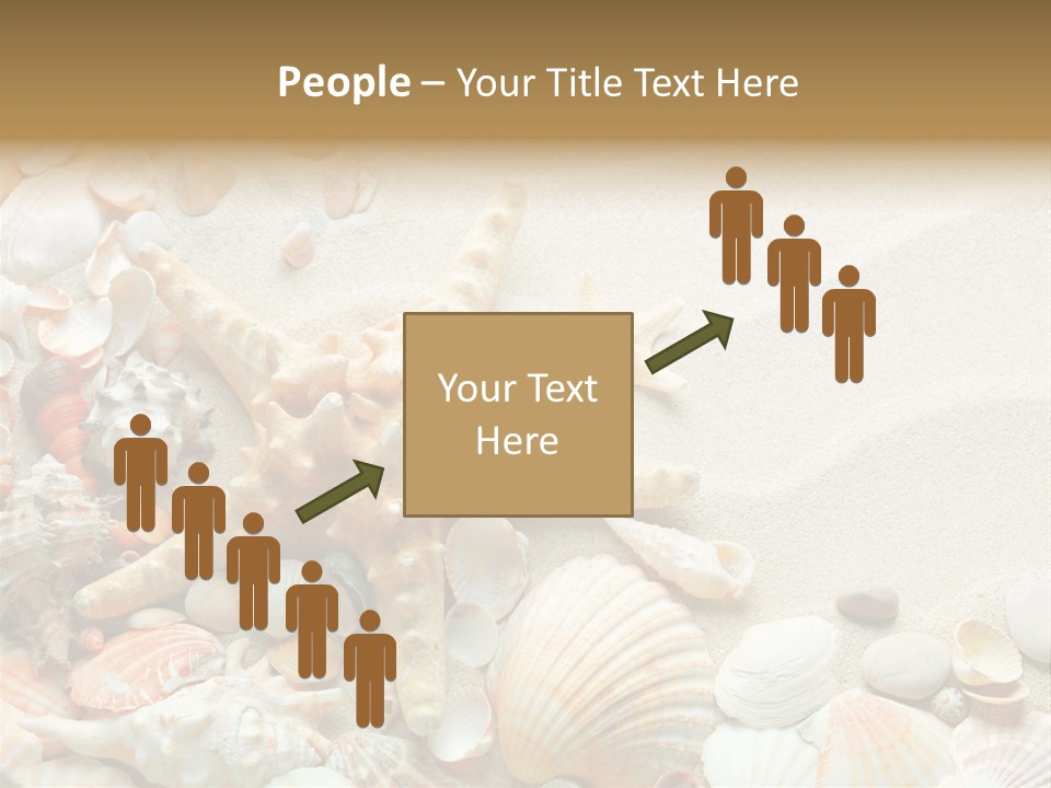 Starfish Border Summer PowerPoint Template