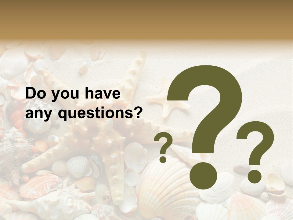 Starfish Border Summer PowerPoint Template