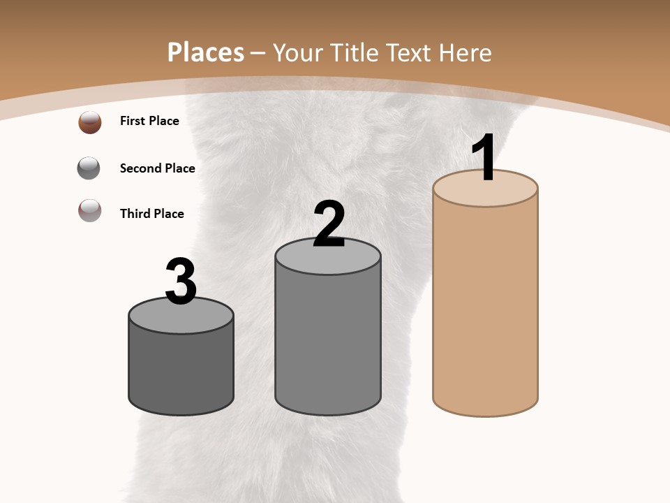Hair Pedigree Fun PowerPoint Template