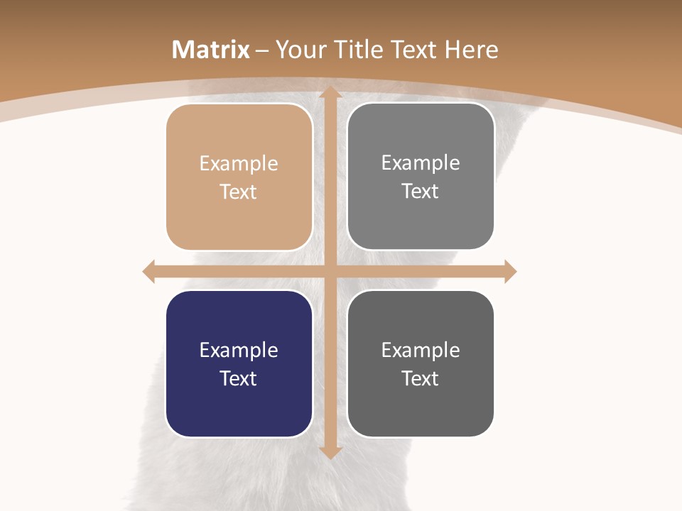 Hair Pedigree Fun PowerPoint Template