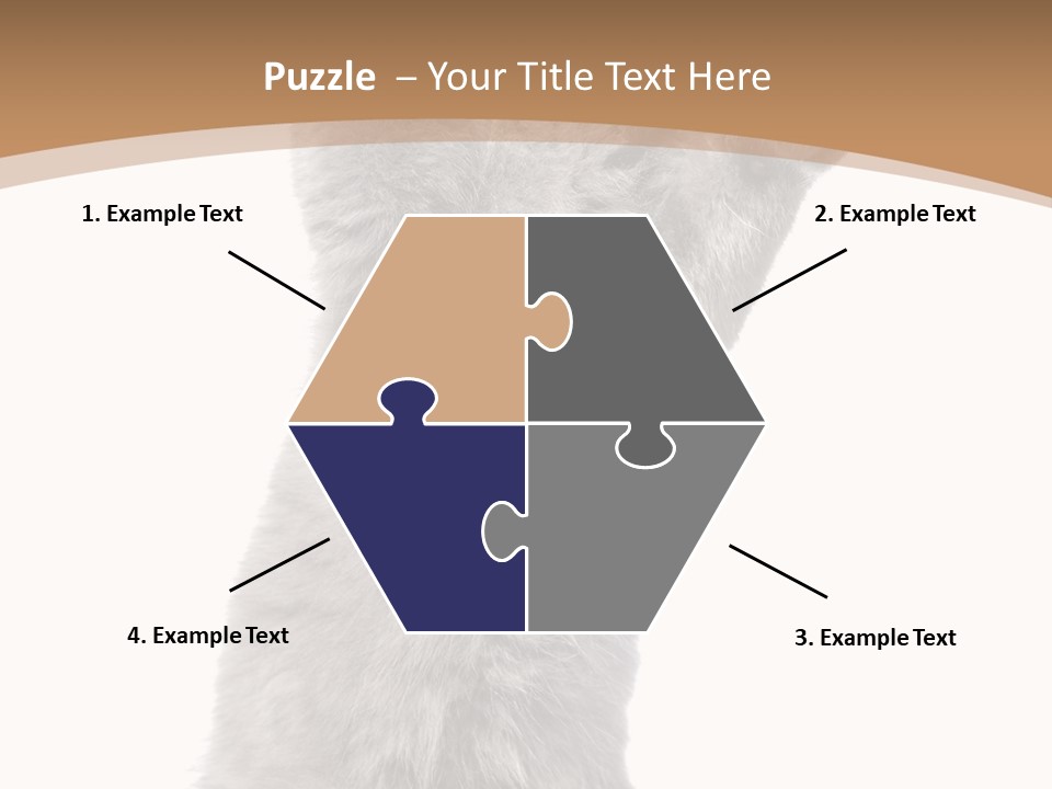Hair Pedigree Fun PowerPoint Template