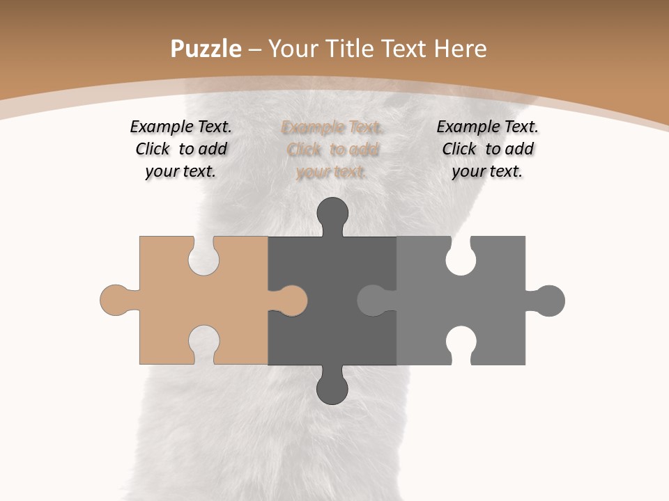 Hair Pedigree Fun PowerPoint Template