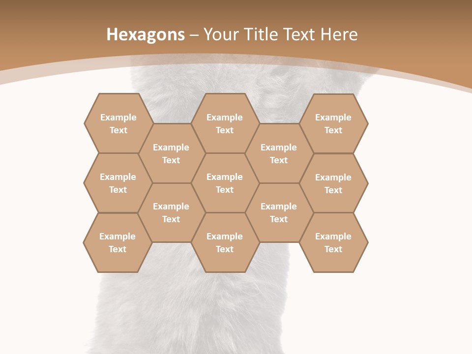 Hair Pedigree Fun PowerPoint Template