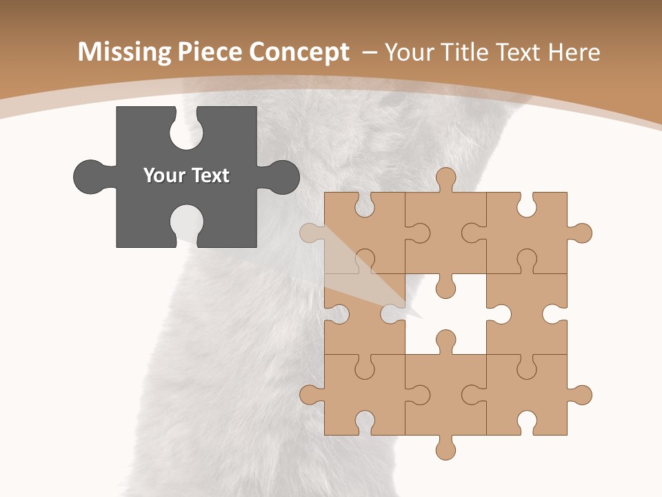 Hair Pedigree Fun PowerPoint Template