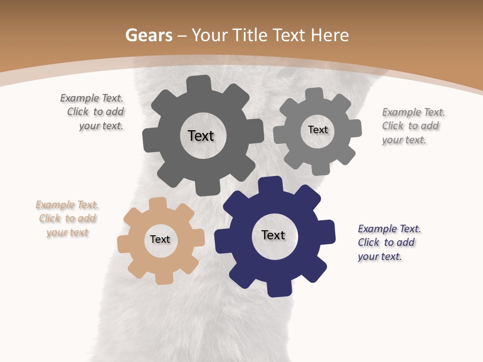 Hair Pedigree Fun PowerPoint Template