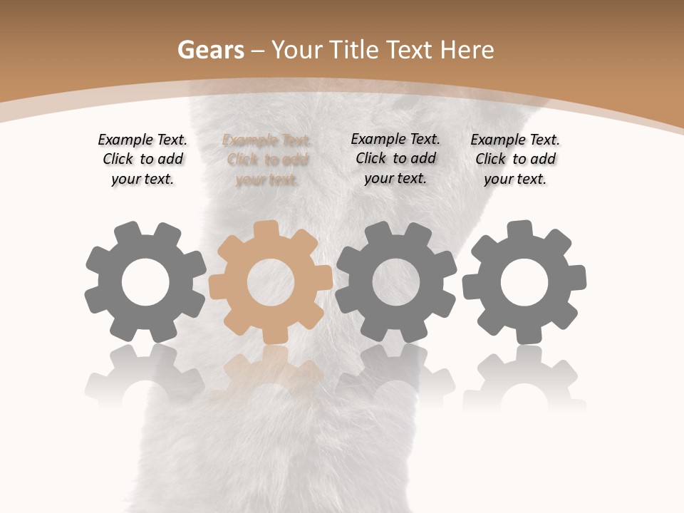 Hair Pedigree Fun PowerPoint Template