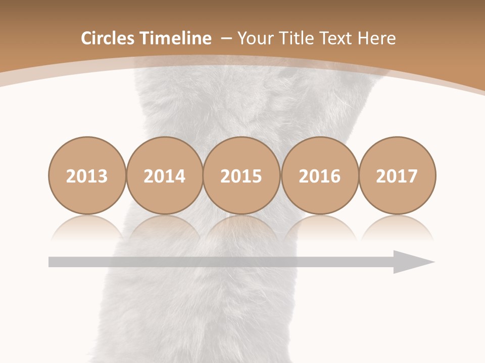 Hair Pedigree Fun PowerPoint Template