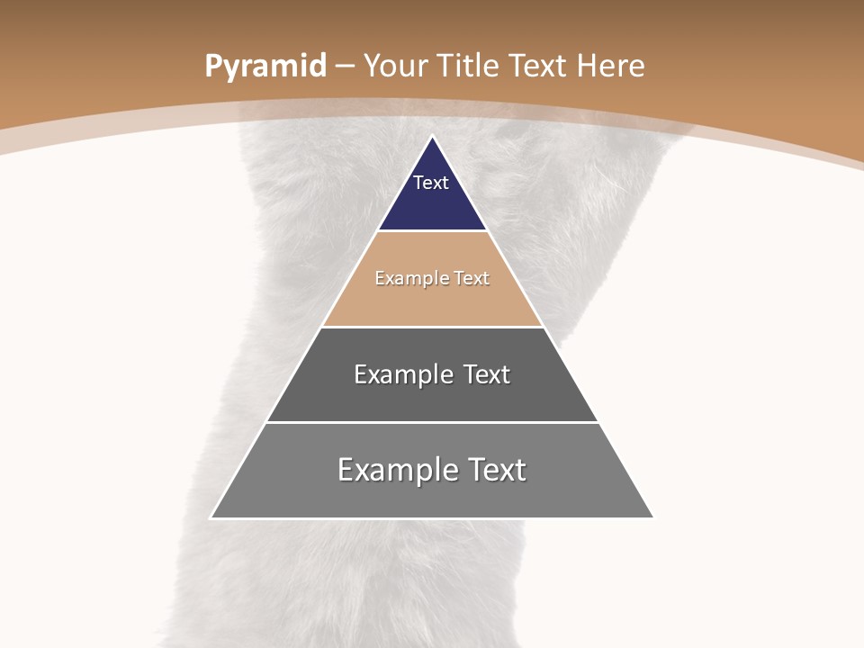 Hair Pedigree Fun PowerPoint Template