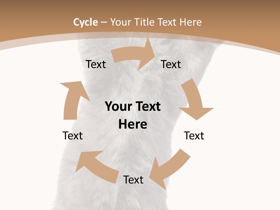 Hair Pedigree Fun PowerPoint Template