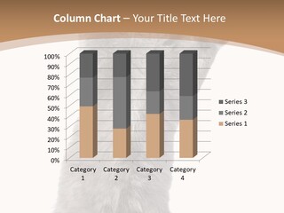 Hair Pedigree Fun PowerPoint Template