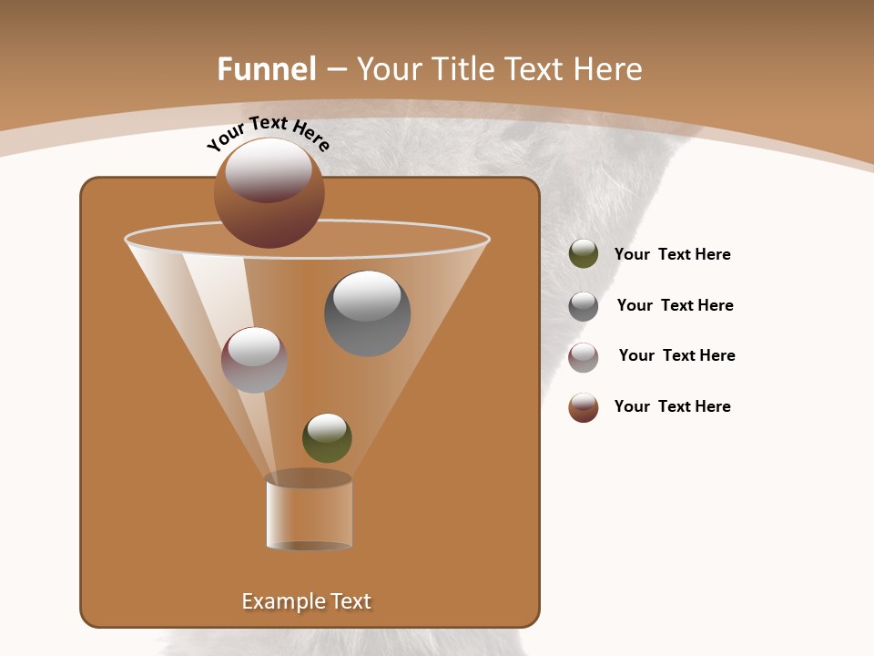 Hair Pedigree Fun PowerPoint Template