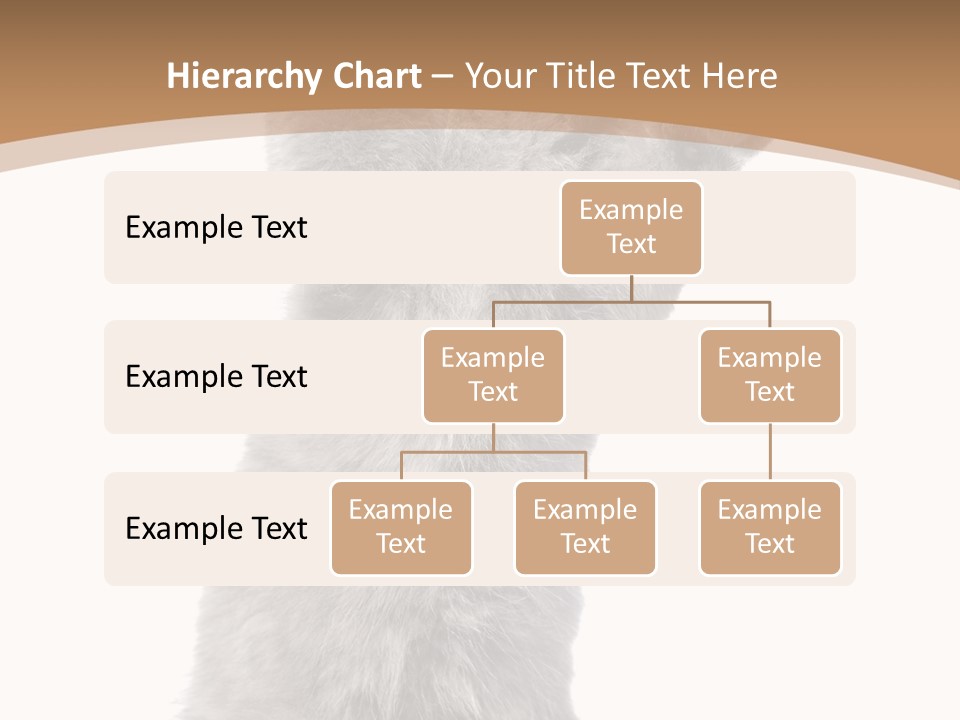 Hair Pedigree Fun PowerPoint Template