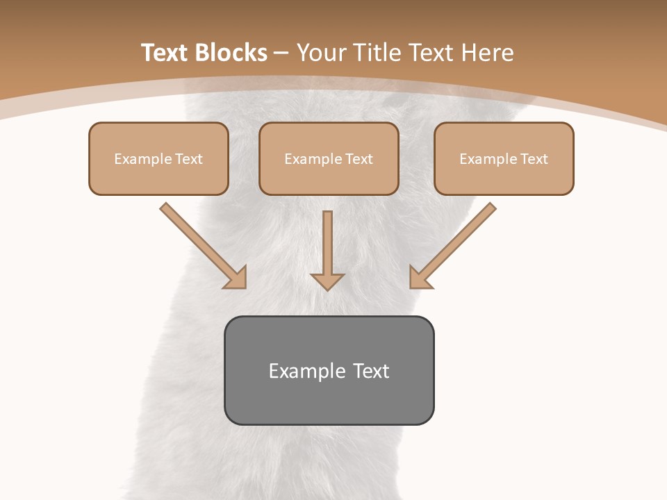 Hair Pedigree Fun PowerPoint Template