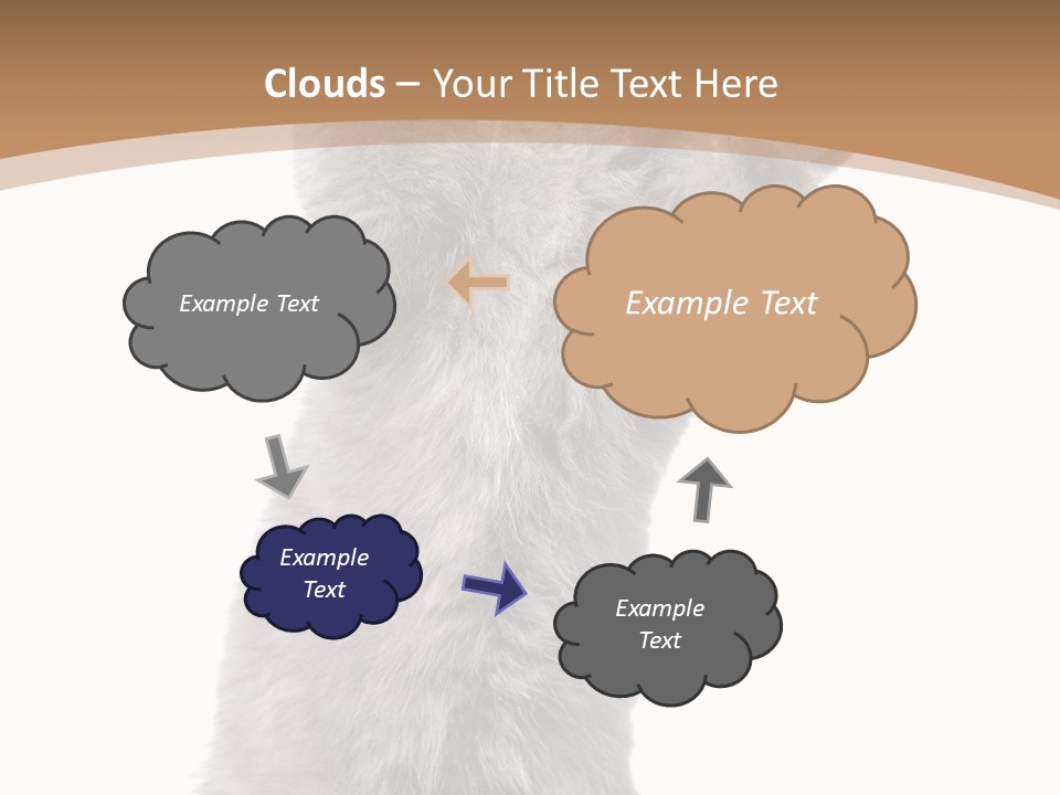 Hair Pedigree Fun PowerPoint Template
