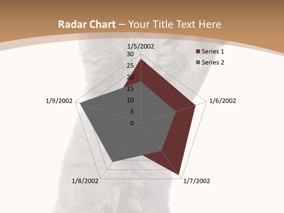 Hair Pedigree Fun PowerPoint Template