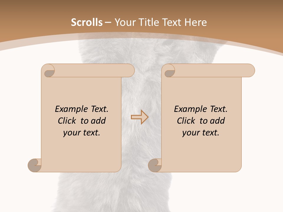 Hair Pedigree Fun PowerPoint Template