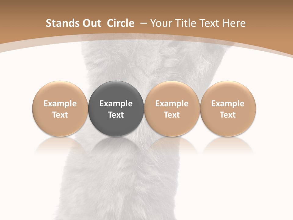 Hair Pedigree Fun PowerPoint Template