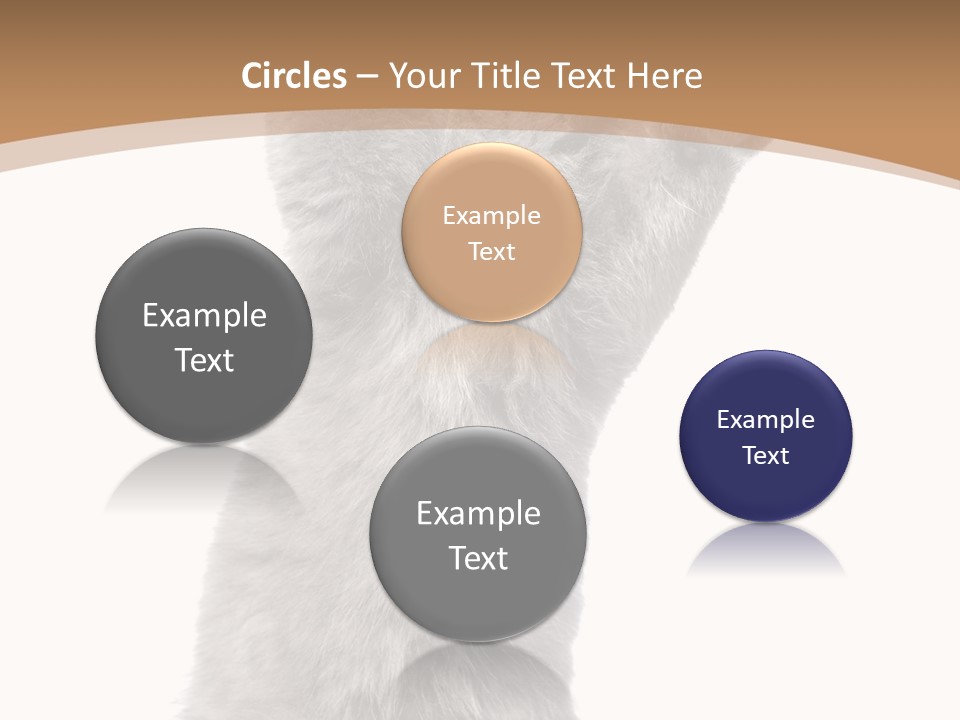 Hair Pedigree Fun PowerPoint Template